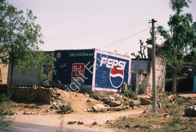 Roadside house with ads Rajasthan 006139