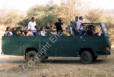 Tour bus in Sariska 004531