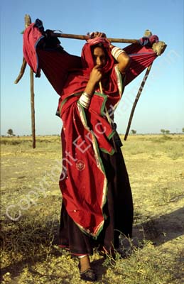 Woman carrying baby in cradle Rajasthan 864229