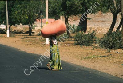 Woman carrying big load Rajasthan 004730