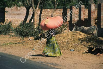 Woman carrying big load Rajasthan 004731