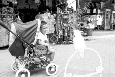 SIN990122BW