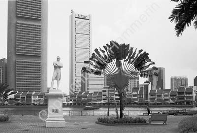 SIN990222BW