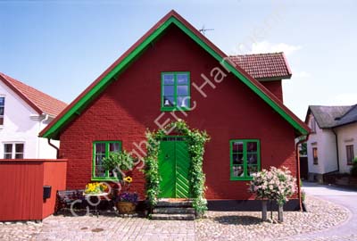 Hus rött grönt S991917