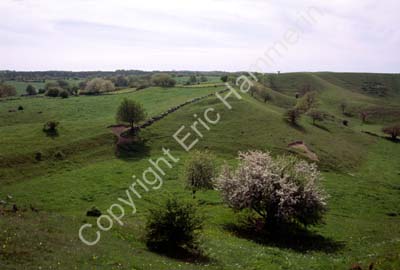 Brösarps backar S982131