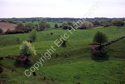 Brösarps backar S982132