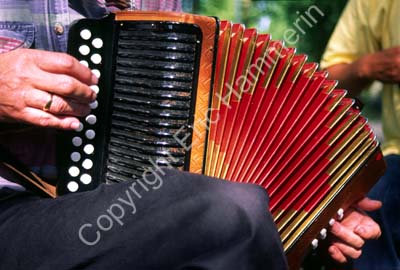 Dragspel folkmusik S992627