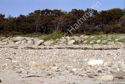 Litorina-strand Viken S21C42