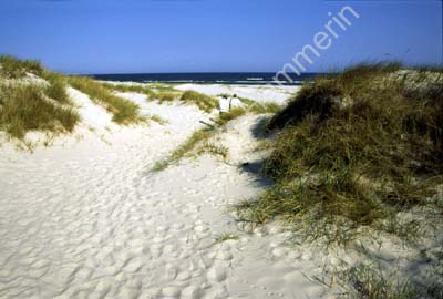 Sandhammaren SO1D42