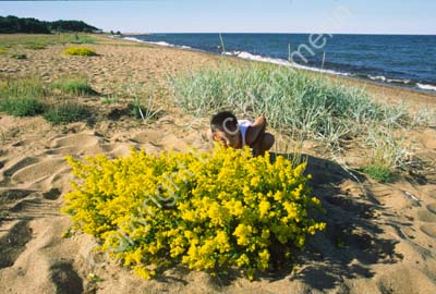 Tobisvik strand S992306