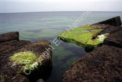 Vik stranden S980819