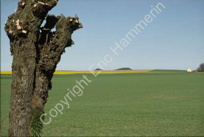 Pil Bolmers högar S12B74