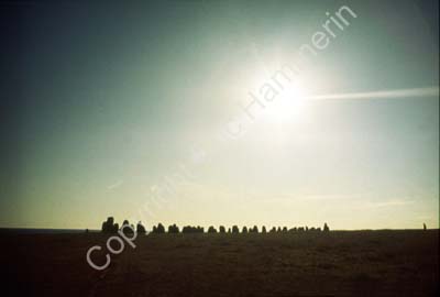 Ales stenar SO1D55