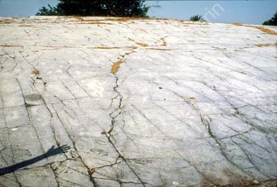 Järrestad hällristning SO1C06