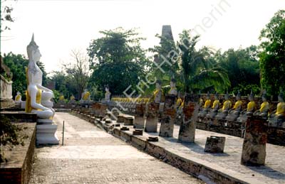 Ayutthaya 8724312