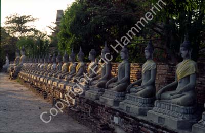 Ayutthaya Buddhas in a row 851131