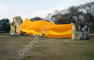 Ayutthaya reclining Buddha 8724318