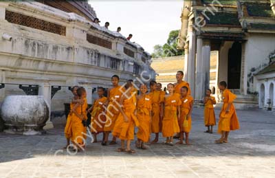 Nakhon Pathom boy monks 8725703