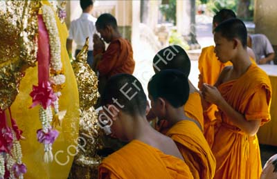 Nakhon Pathom monks 8725614