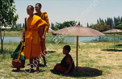 Nakhon Pathom monks and meditation under umbrella 8725530