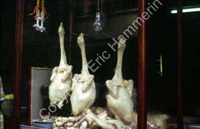 Chicken butchered on display 8724605