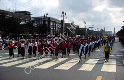 Dance parade in the street 8710905