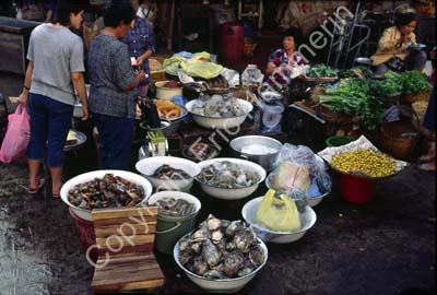 Food market 850815