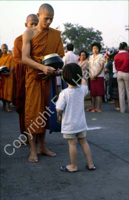 Little girl monks morning alms 851421