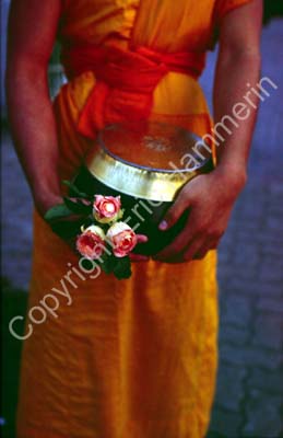 Monk with bowl for morning alms 851023