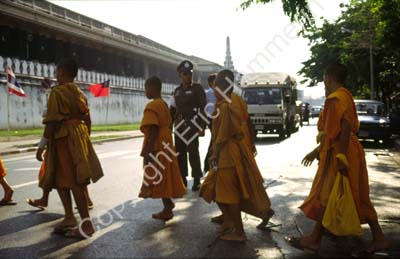 Monks crossing road 8722724