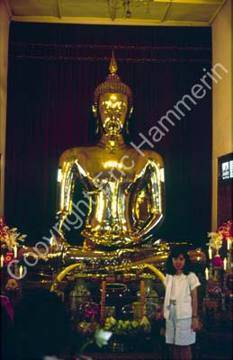 Wat Benjamabophit 8710803