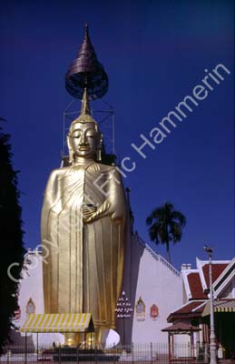 Wat Indrawihan 850503