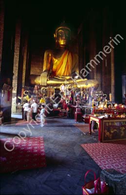Wat Kalaya 850311