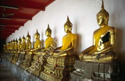 Gilded Buddhas on a row 8724206