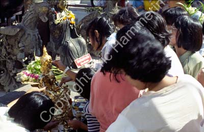 Offerings Wat Phra Keo 8710602