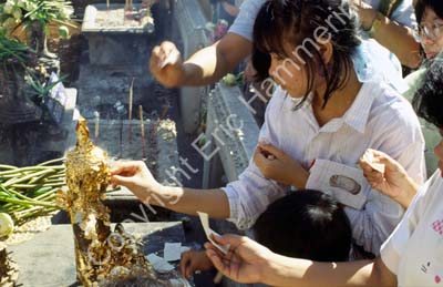 Offerings Wat Phra Keo 8710603