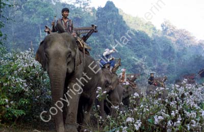 8710335