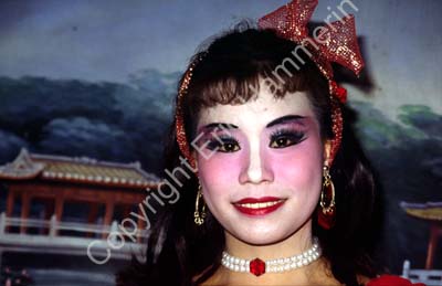 Chinese theatre opera actor 869316