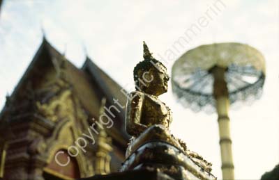 Doi Suthep 869306