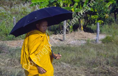 Monk with umbrella 869326