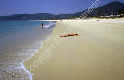Beach paradise 8721129