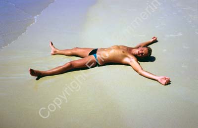 Beach paradise basking in the sun 8721130