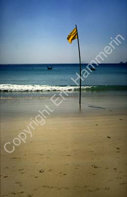 Flag pole on the beach 8721427
