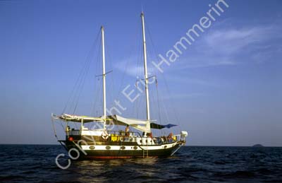 Sailing boat ship 8722519