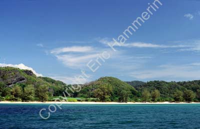 Beach line 8720910