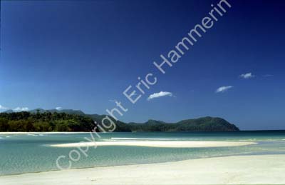 Shores shallow waters island 8720937